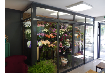 Цветочные холодильные камеры и шкафы