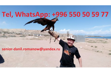 Guide, driver in Kyrgyzstan, tourism, travel, excursions, hiking in mountains