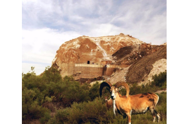 Актау/ Индивидуальный тахи в Караман ата, Бекет ата, Шопан ата Адай ата