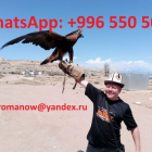Guide, driver in Kyrgyzstan, tourism, travel, excursions, hiking in mountains