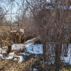 Продам участок · 11.4 сотки, ст.Тимирязевец